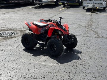 2019 Can-Am DS 70