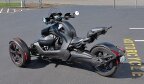 Thumbnail Photo 4 for 2019 Can-Am Ryker ACE 900