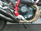 Thumbnail Photo 2 for 2019 Ducati Scrambler