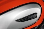 Thumbnail Photo 4 for 2019 Ducati Scrambler