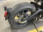 Thumbnail Photo 5 for 2019 Ducati Scrambler