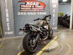 Thumbnail Photo 3 for 2019 Ducati Scrambler