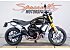 2019 Ducati Scrambler