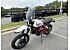 2019 Ducati Scrambler