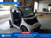 New 2019 GEM e2