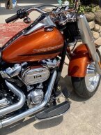 Thumbnail Photo 4 for 2019 Harley-Davidson Softail Fat Boy 114