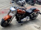 Thumbnail Photo 2 for 2019 Harley-Davidson Softail Fat Boy 114