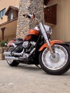 Thumbnail Photo 1 for 2019 Harley-Davidson Softail Fat Boy 114