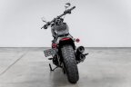 Thumbnail Photo 6 for 2019 Harley-Davidson Softail