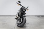 Thumbnail Photo 2 for 2019 Harley-Davidson Softail