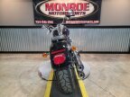 Thumbnail Photo 4 for 2019 Harley-Davidson Softail Low Rider