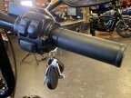 Thumbnail Photo 2 for 2019 Harley-Davidson Softail
