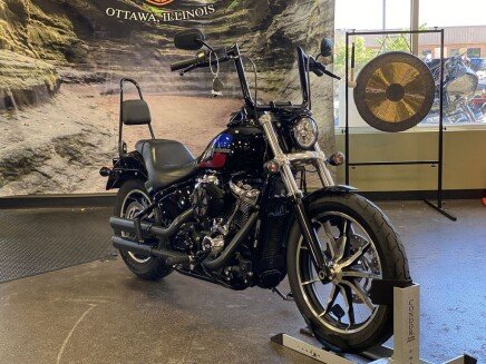 Photo 1 for 2019 Harley-Davidson Softail