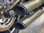 Thumbnail Photo 6 for 2019 Harley-Davidson Softail