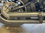 Thumbnail Photo 5 for 2019 Harley-Davidson Softail