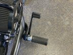 Thumbnail Photo 3 for 2019 Harley-Davidson Softail