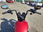 Thumbnail Photo 4 for 2019 Harley-Davidson Softail