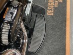 Thumbnail Photo 3 for 2019 Harley-Davidson Softail