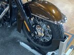 Thumbnail Photo 1 for 2019 Harley-Davidson Softail