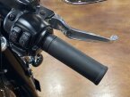 Thumbnail Photo 2 for 2019 Harley-Davidson Softail