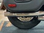 Thumbnail Photo 6 for 2019 Harley-Davidson Softail