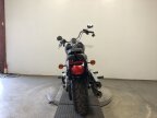 Thumbnail Photo 5 for 2019 Harley-Davidson Softail Low Rider
