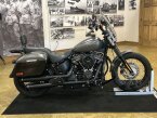 Thumbnail Photo 4 for 2019 Harley-Davidson Softail