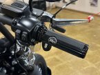 Thumbnail Photo 2 for 2019 Harley-Davidson Softail