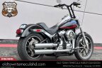 Thumbnail Photo 5 for 2019 Harley-Davidson Softail Low Rider