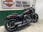 Thumbnail Photo 3 for 2019 Harley-Davidson Softail Breakout 114
