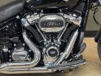 Thumbnail Photo 3 for 2019 Harley-Davidson Softail Fat Boy 114
