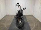 Thumbnail Photo 1 for 2019 Harley-Davidson Softail