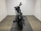Thumbnail Photo 3 for 2019 Harley-Davidson Softail