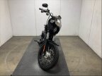Thumbnail Photo 1 for 2019 Harley-Davidson Softail