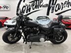 Thumbnail Photo 2 for 2019 Harley-Davidson Softail
