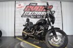 Thumbnail Photo 1 for 2019 Harley-Davidson Softail
