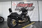 Thumbnail Photo 2 for 2019 Harley-Davidson Softail