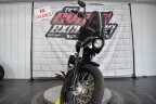 Thumbnail Photo 3 for 2019 Harley-Davidson Softail