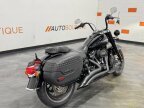 Thumbnail Photo 2 for 2019 Harley-Davidson Softail