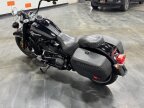 Thumbnail Photo 4 for 2019 Harley-Davidson Softail