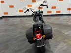 Thumbnail Photo 3 for 2019 Harley-Davidson Softail