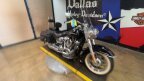 Thumbnail Photo 5 for 2019 Harley-Davidson Softail Deluxe