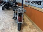 Thumbnail Photo 2 for 2019 Harley-Davidson Softail Deluxe