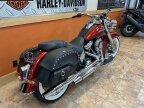 Thumbnail Photo 3 for 2019 Harley-Davidson Softail Deluxe