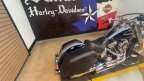 Thumbnail Photo 3 for 2019 Harley-Davidson Softail Deluxe