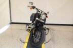 Thumbnail Photo 4 for 2019 Harley-Davidson Softail Slim