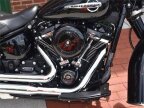 Thumbnail Photo 3 for 2019 Harley-Davidson Softail