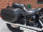 Thumbnail Photo 4 for 2019 Harley-Davidson Softail