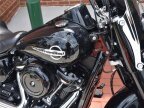 Thumbnail Photo 6 for 2019 Harley-Davidson Softail
