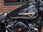 Thumbnail Photo 2 for 2019 Harley-Davidson Softail